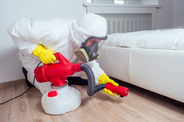 Best Flea Control Services  in Yutan, NE