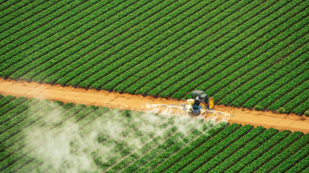 Best Ant Control Services  in Yutan, NE